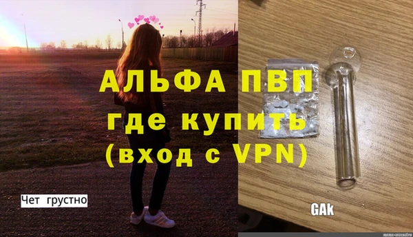 спайс Баксан