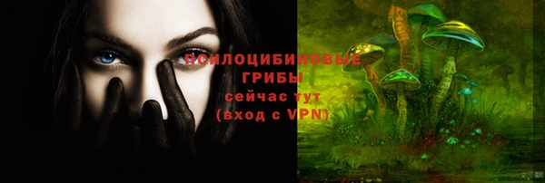 спайс Баксан