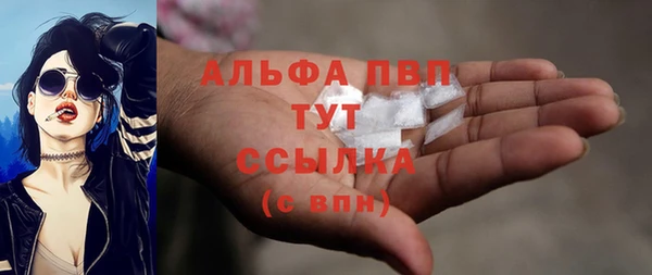 спайс Баксан