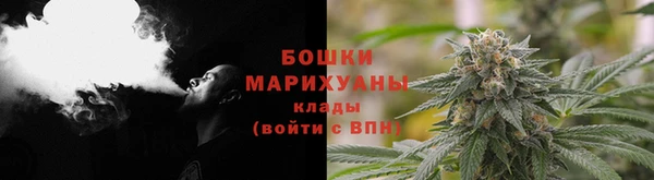спайс Баксан