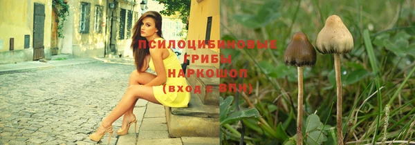 спайс Баксан