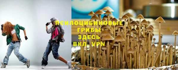 спайс Баксан