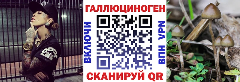 Галлюциногенные грибы Cubensis  Озёры 